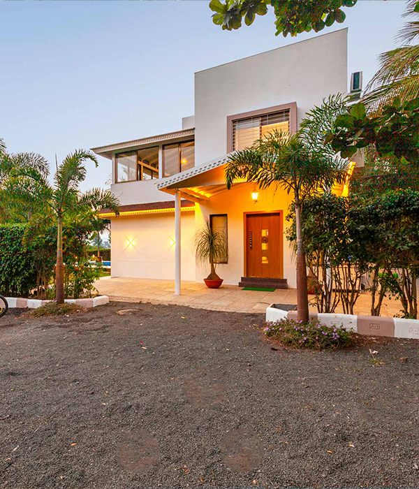 About Mango and Wine